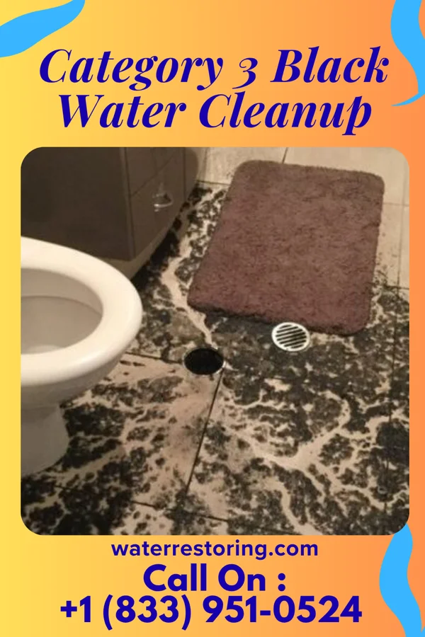 Category 3 Black Water Cleanup in Laconia, NH