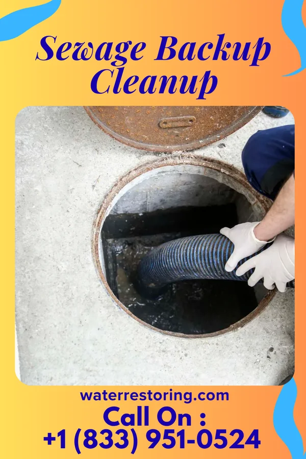 Sewage Backup Cleanup in Laconia, NH