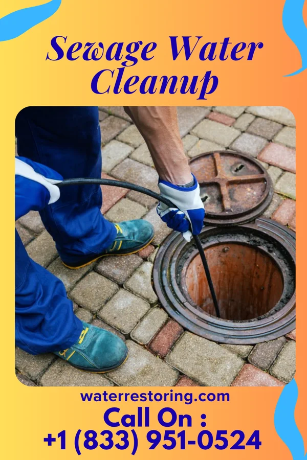 Sewage Water Cleanup in Laconia, NH